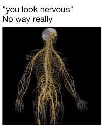 Nervous Nervous